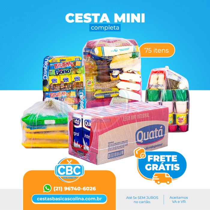 Cesta 1 (Mini) + Kit Danone + Kit Biscoito + Kit Frango + Caixa de Leite